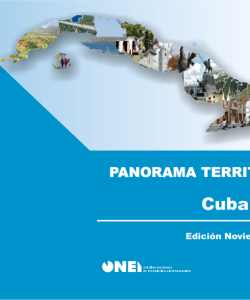 Panorama Territorial Enero-Diciembre 2019